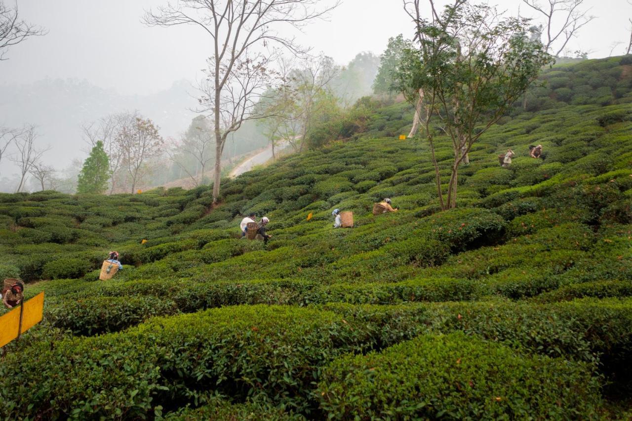 Ama Stays & Trails Puttabong Cottage, Darjeeling Darjeeling (West Bengal) Exterior foto